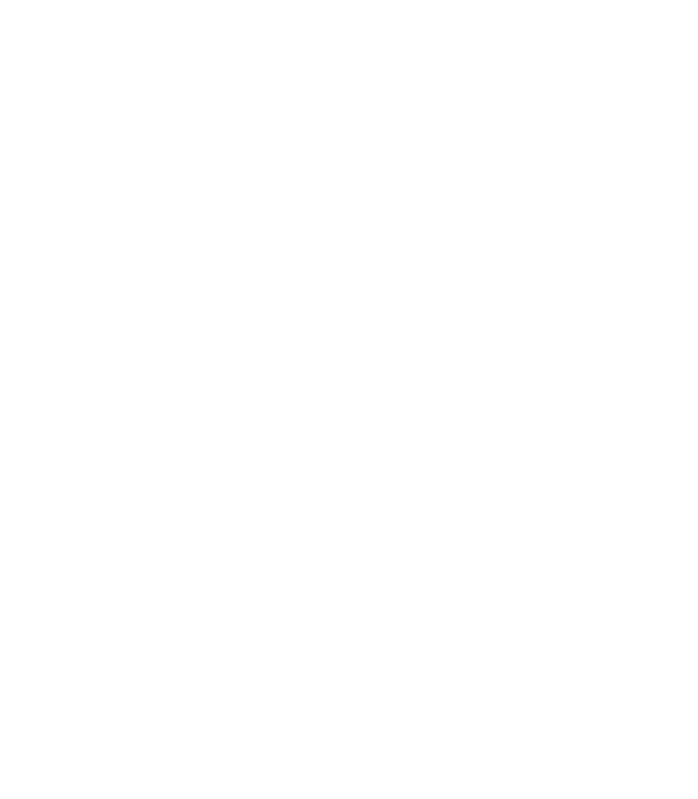 Reveillon Group